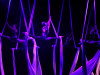 Akrobaki Show