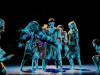 Akrobaki Show