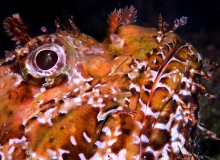 _DSC7148_600x450
