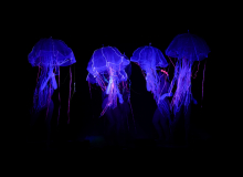Syrena – spektakl Teatru Avatar