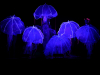 Syrena – spektakl Teatru Avatar